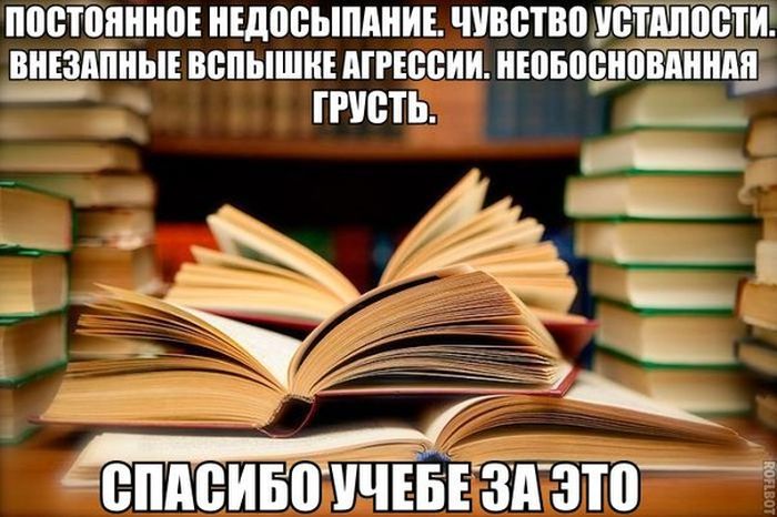 Порция картинок