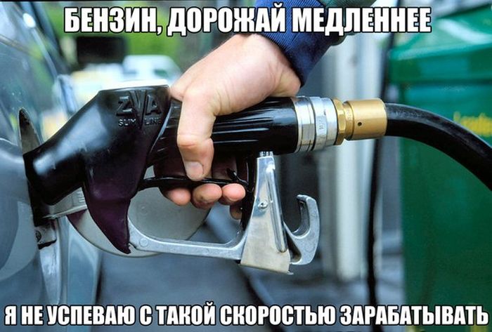 Порция картинок