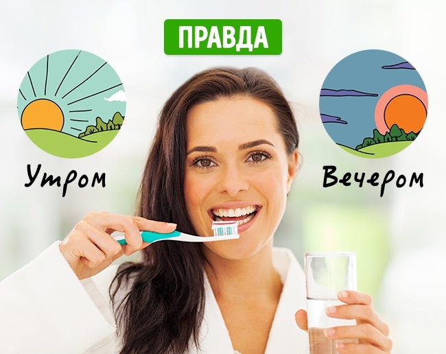 Эти 8 мифов об уходе за зубами вредят нашему здоровью Эти 8 мифов об уходе за зубами вредят нашему здоровью