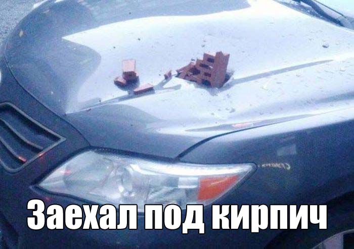 Прикольные картинки