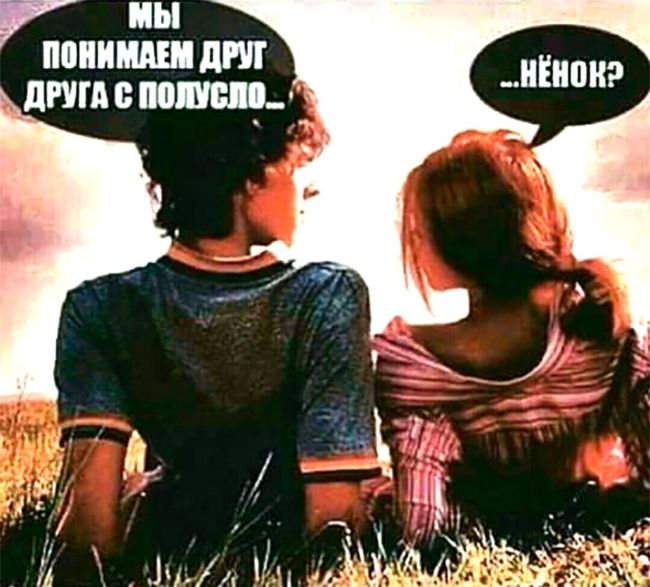 Прикольные картинки