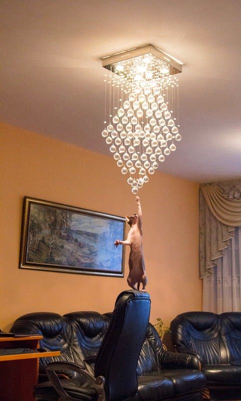 Прикольные картинки (89 фото)