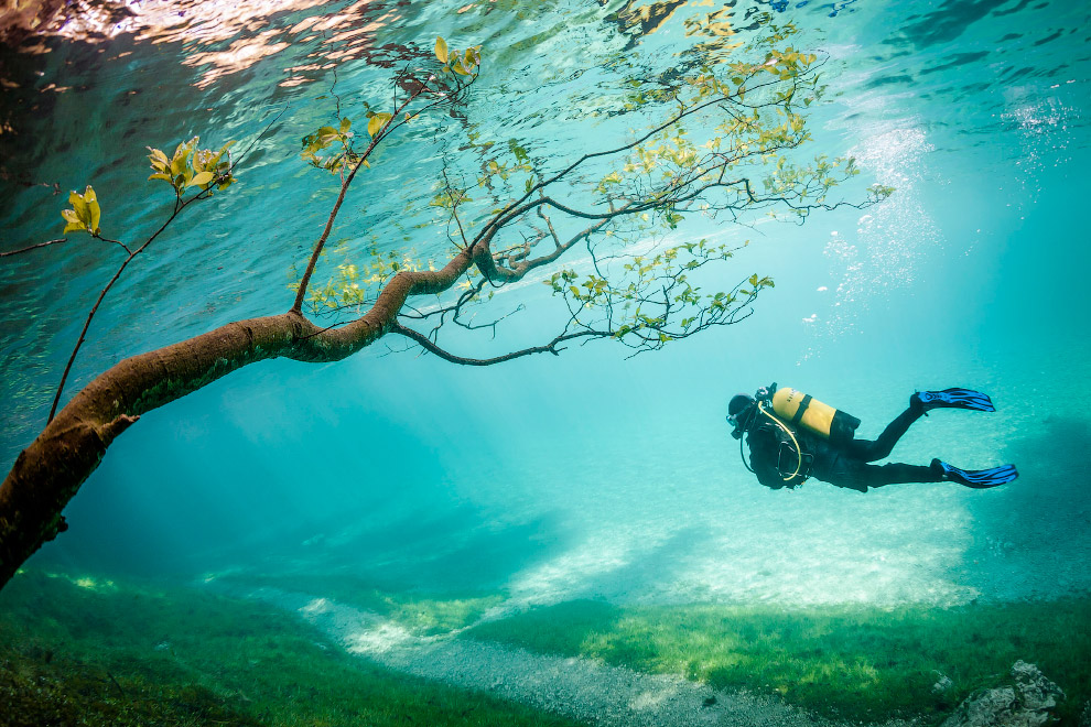 National Geographic: лучшие фотографии июня National Geographic: лучшие фотографии июня