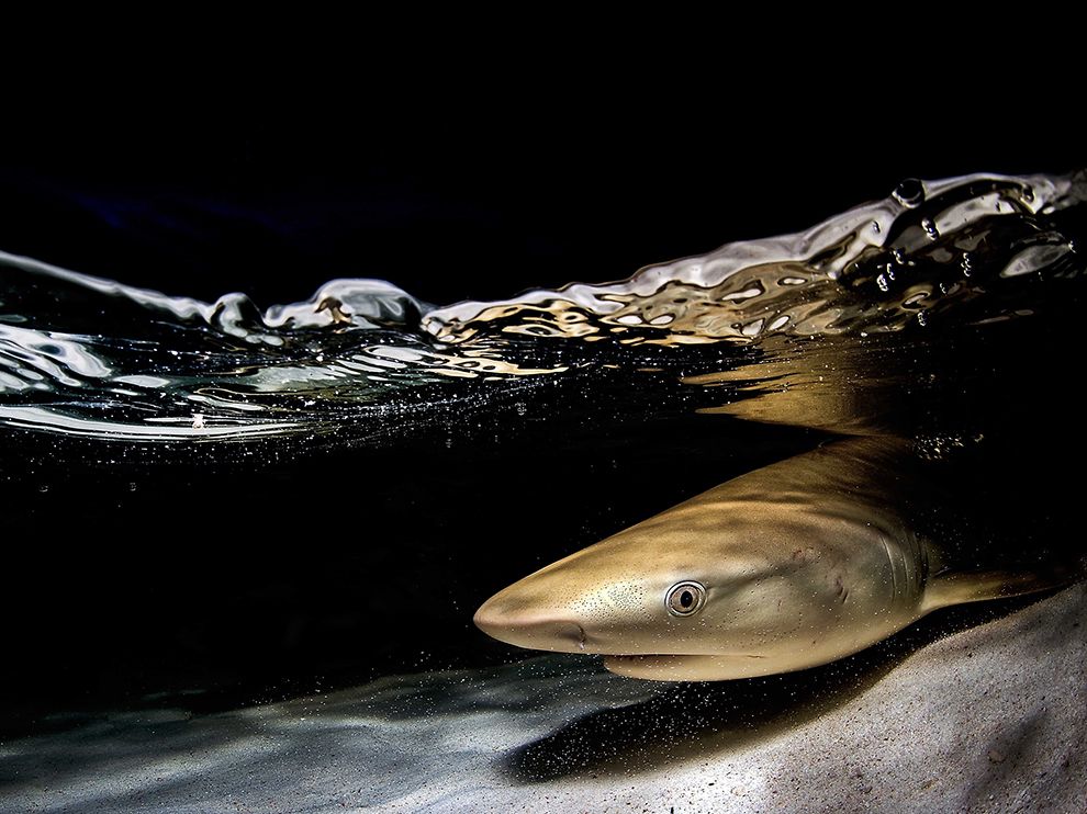 National Geographic: лучшие фотографии июня National Geographic: лучшие фотографии июня