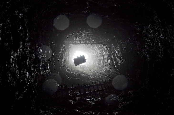 Уголь — древнее растение под землей Уголь — древнее растение под землей