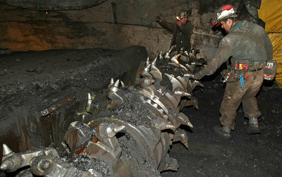 Уголь — древнее растение под землей Уголь — древнее растение под землей