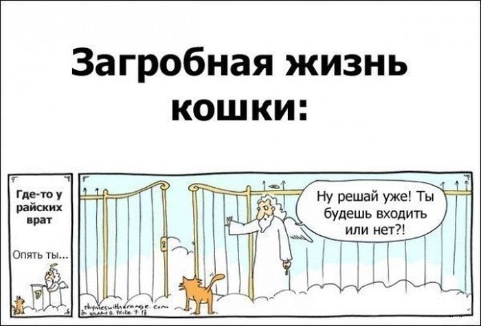 Смешные комиксы