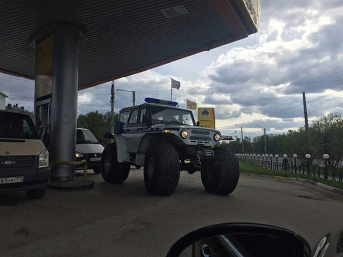 Прикольные картинки