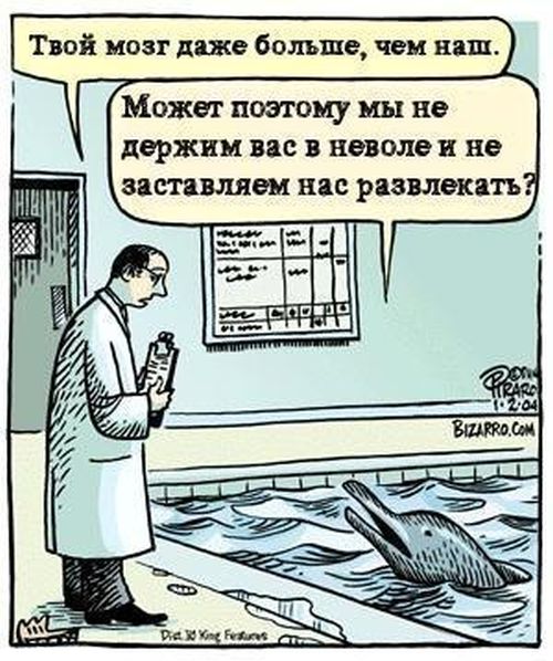 Смешные комиксы