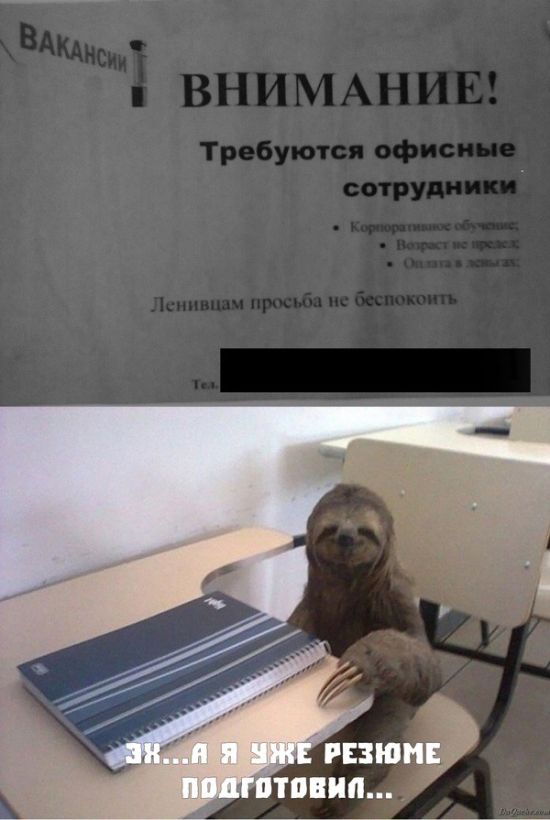 Креативные объявления на улицах российских городов