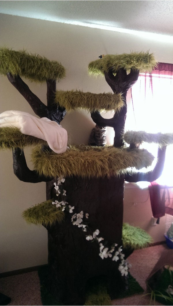 Дом для котэ