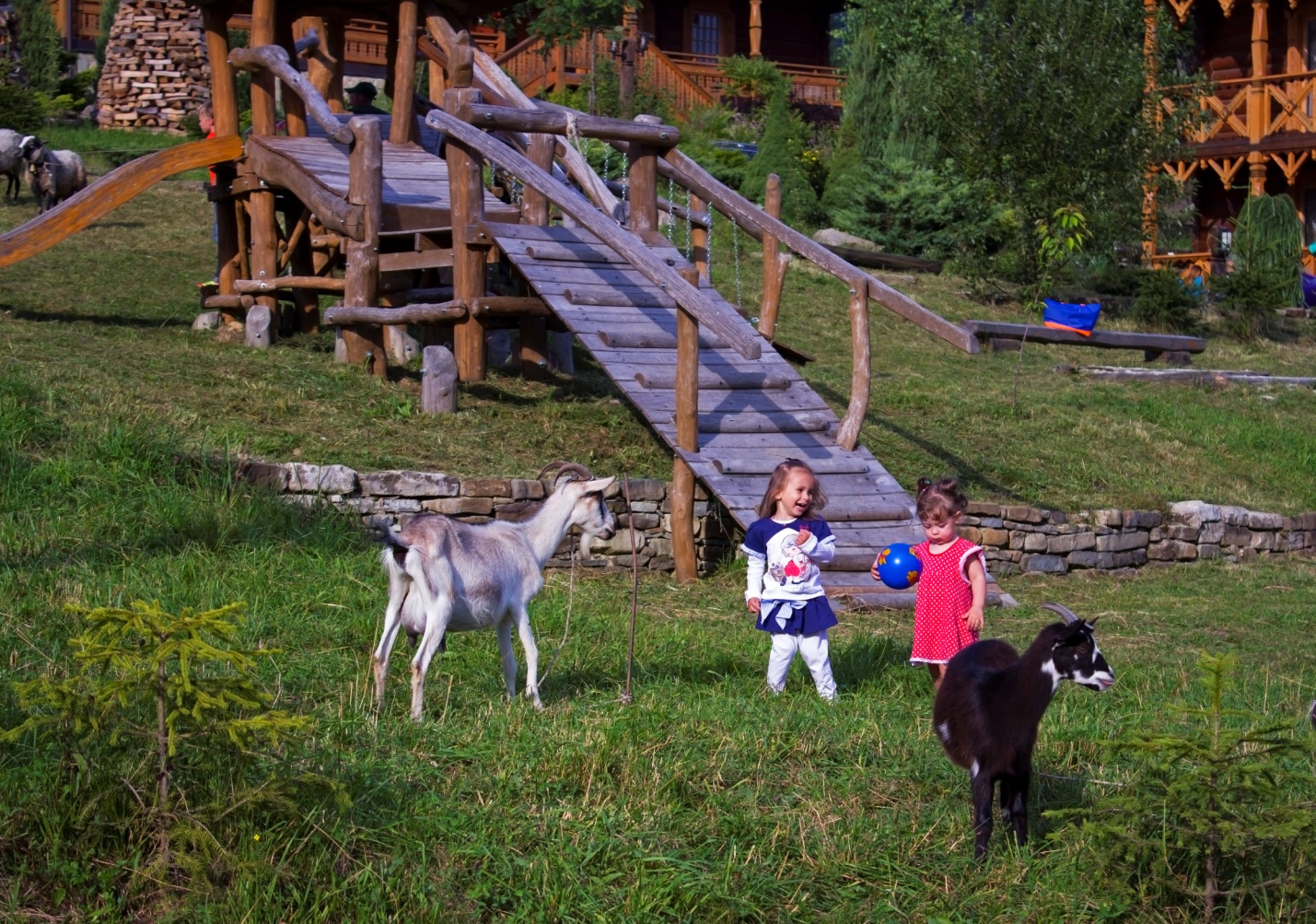 Отдых с детьми в горах Отдых с детьми в горах