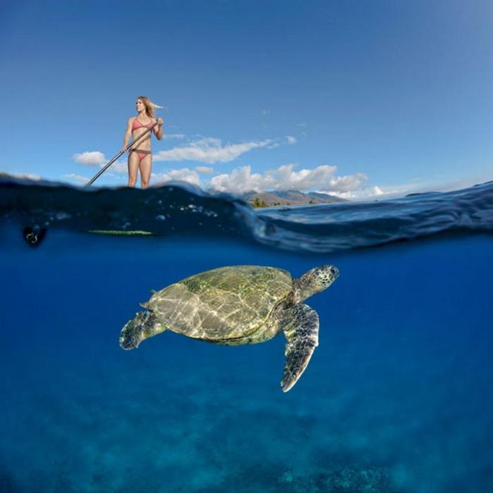 Подводные фотографии Дэвида Флитэма (15 фото) Подводные фотографии Дэвида Флитэма (15 фото)