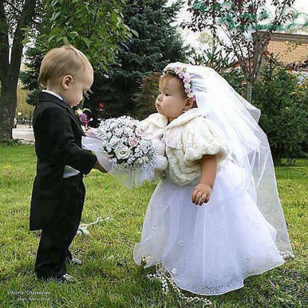 Прикольные картинки