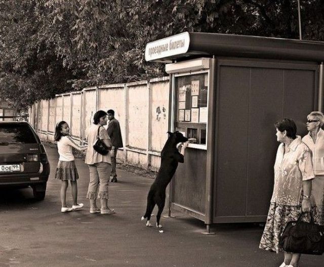 Прикольные картинки