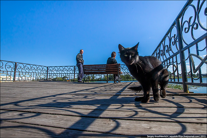 Как выглядит город, в котором мэр – не ворюга Как выглядит город, в котором мэр – не ворюга