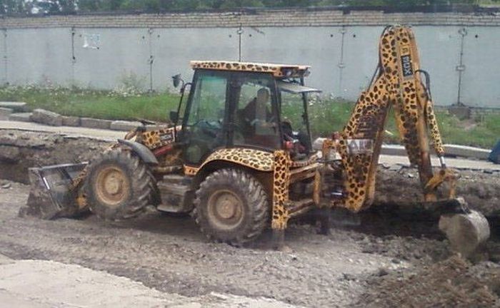 Такое вы сможете увидеть только в России