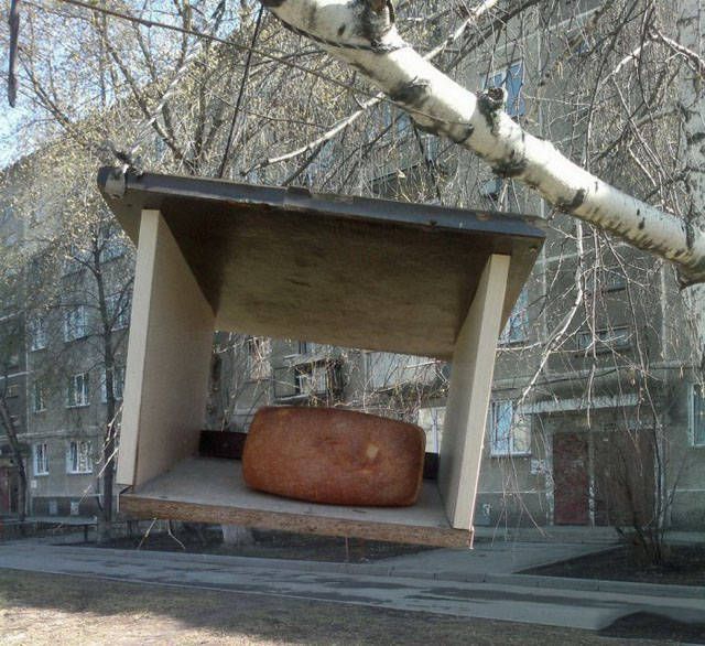 Такое вы сможете увидеть только в России
