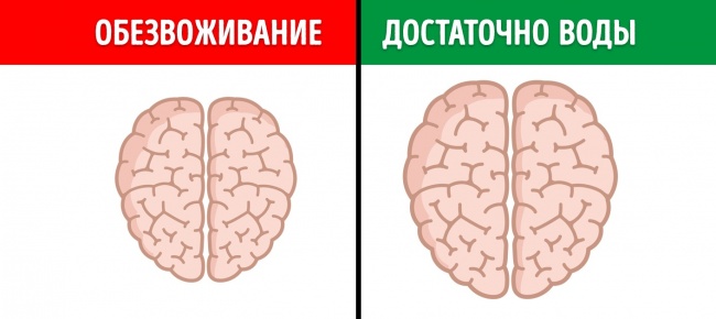 12 неожиданных вещей, которые вредят мозгу 12 неожиданных вещей, которые вредят мозгу