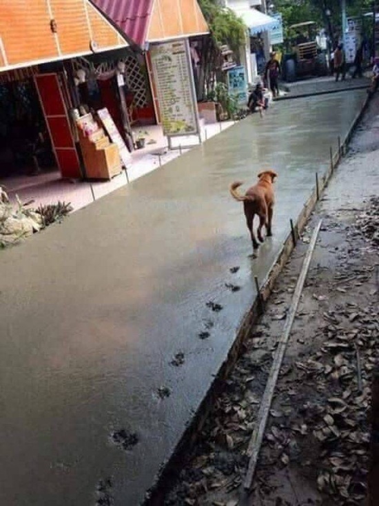День не задался