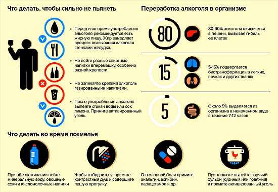 Правила борьбы с похмельем Правила борьбы с похмельем