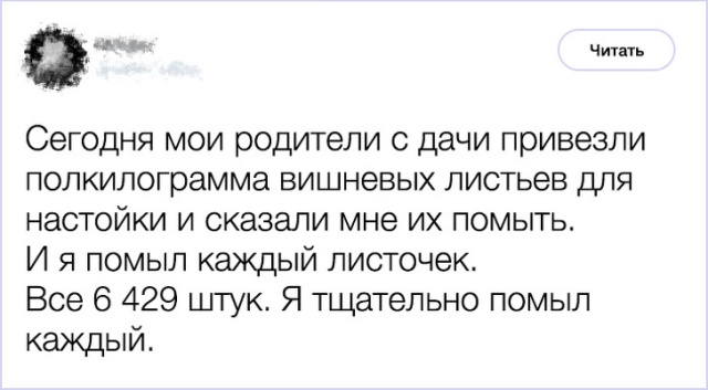 Поступки родственников, которые достойны стать персонажами анекдотов