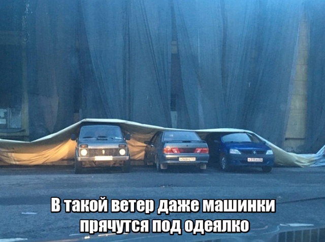 Прикольные картинки