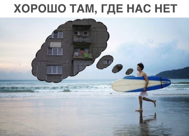 Прикольные картинки
