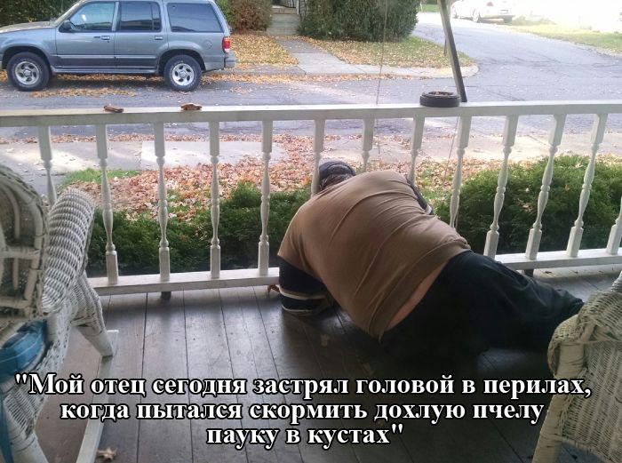 Порция картинок