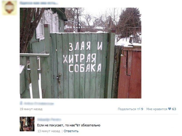 Прикольные картинки