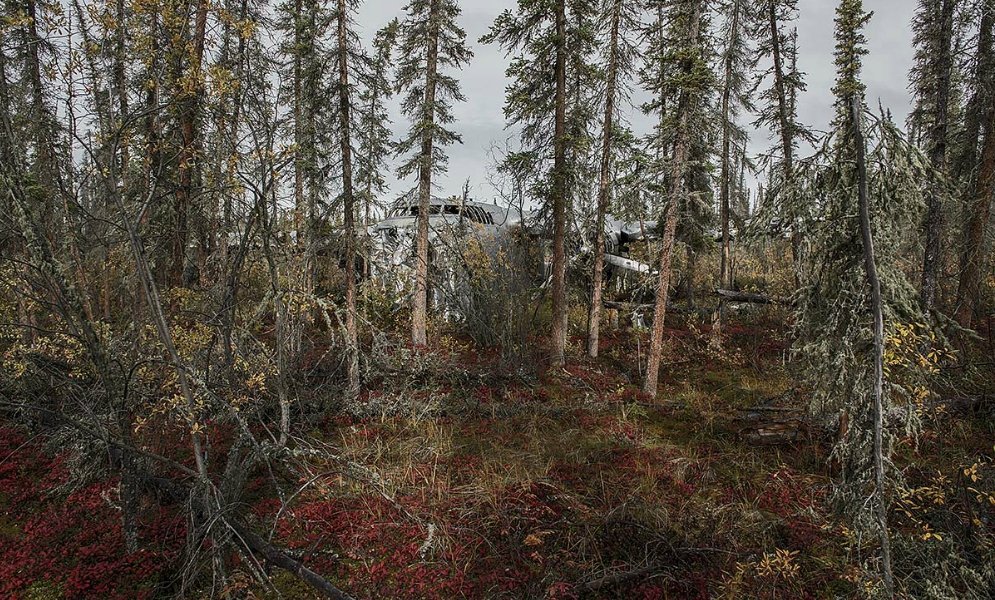 Крушения самолётов, закончившиеся хэппи-эндом Крушения самолётов, закончившиеся хэппи-эндом