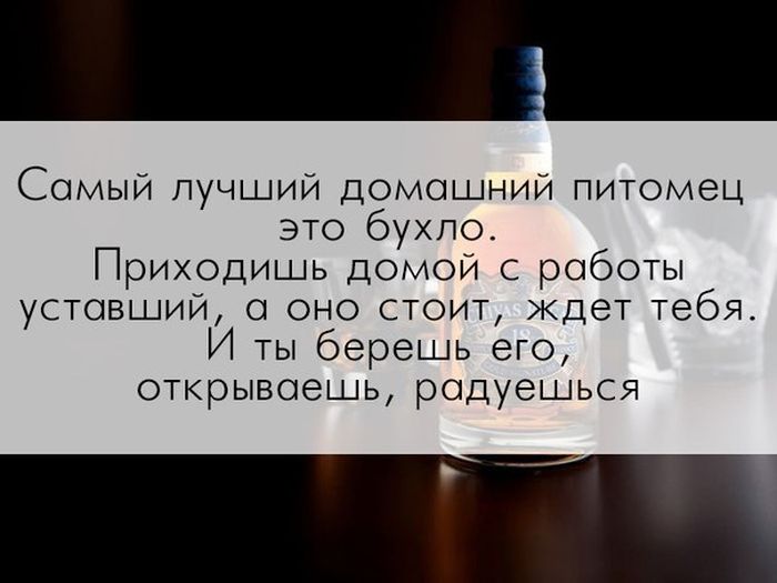 Прикольные картинки (77 фото)