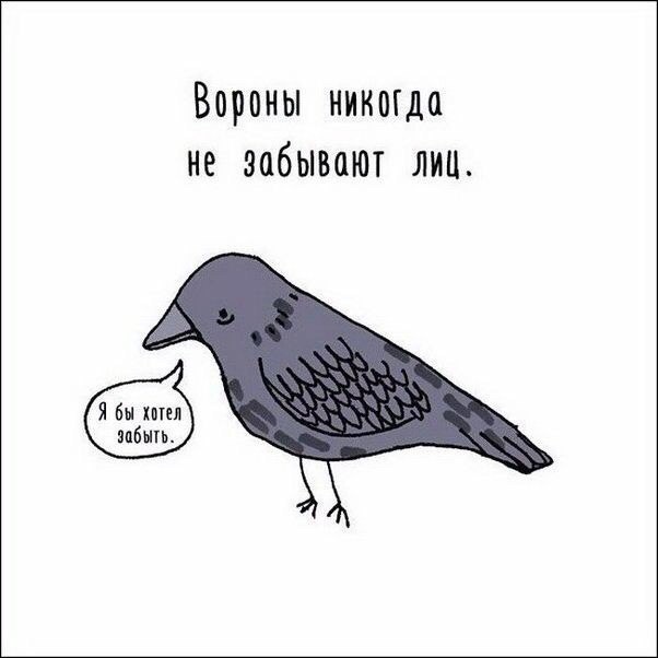 Странный юмор с просторов сети
