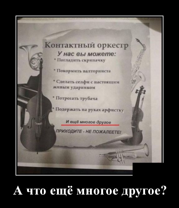 Демотиваторы