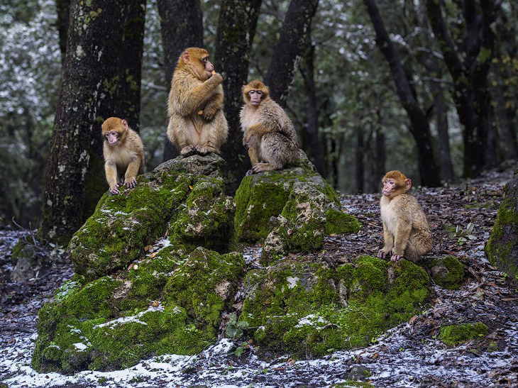 National Geographic: лучшие фотографии декабря National Geographic: лучшие фотографии декабря