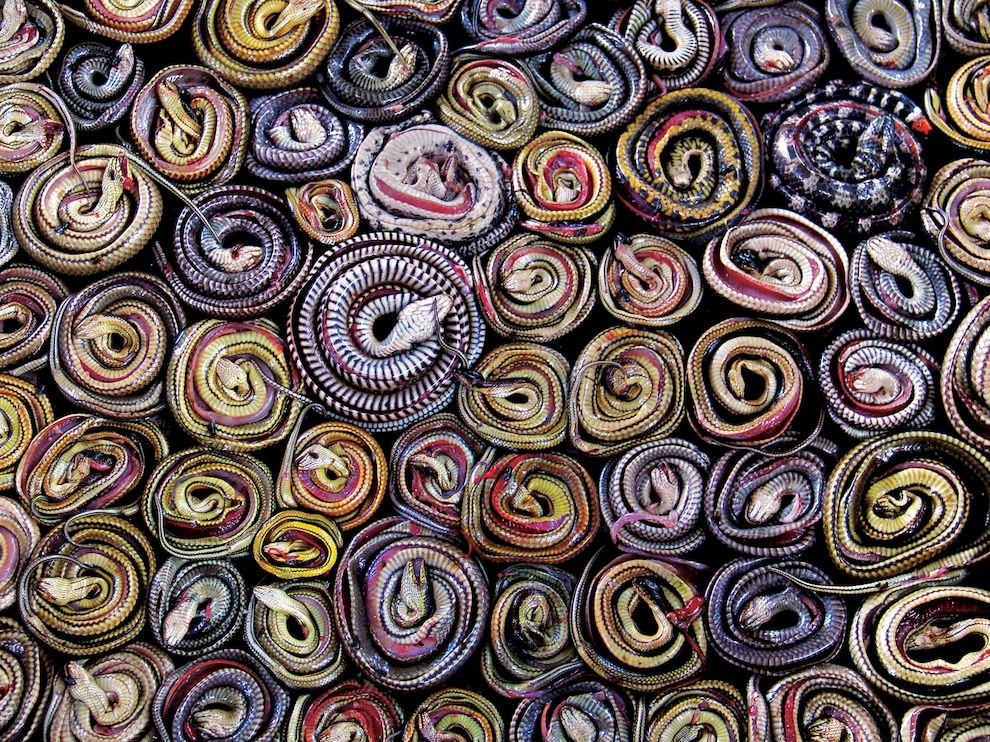 National Geographic: лучшие фотографии декабря National Geographic: лучшие фотографии декабря