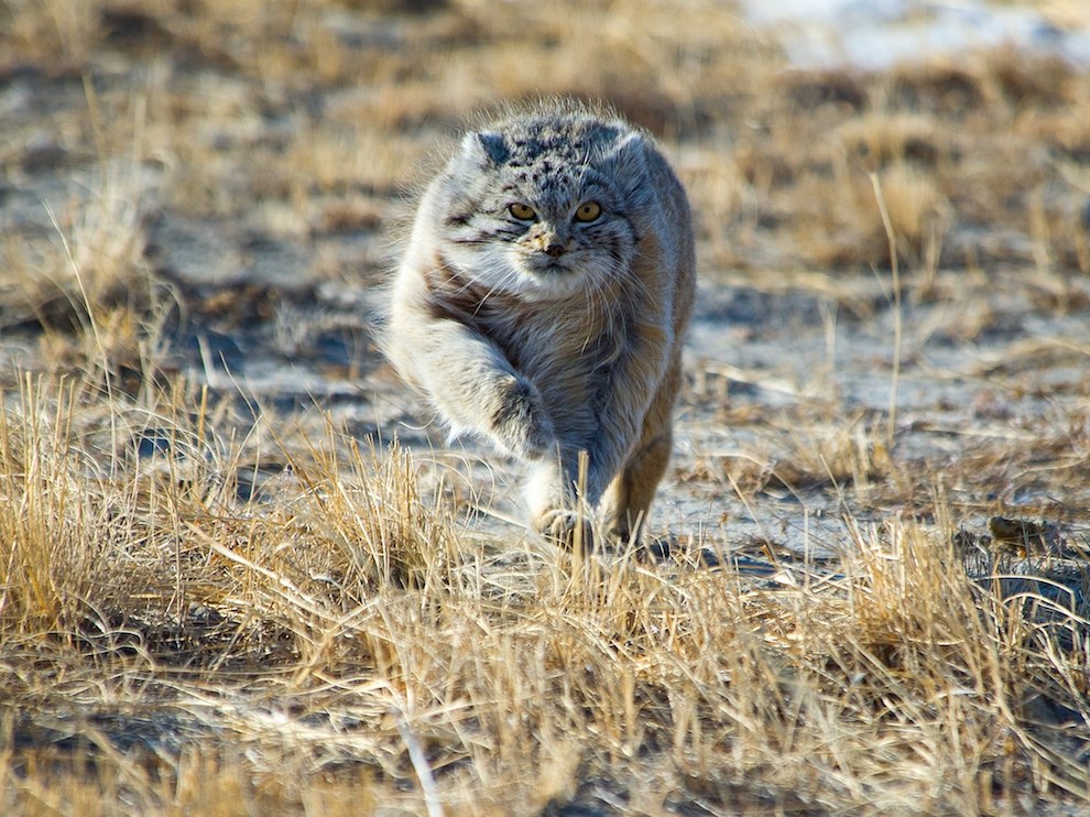 National Geographic: лучшие фотографии декабря National Geographic: лучшие фотографии декабря