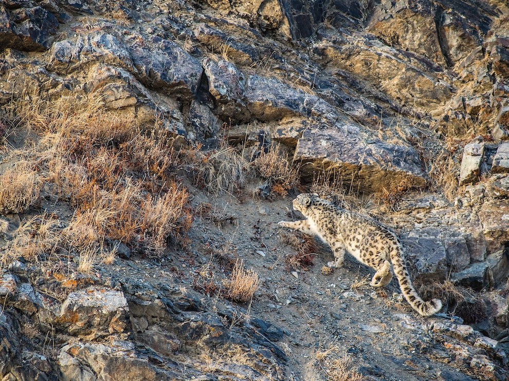 National Geographic: лучшие фотографии декабря National Geographic: лучшие фотографии декабря