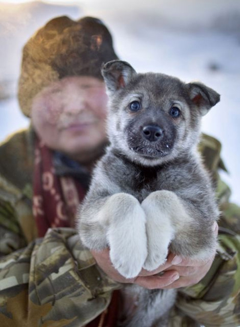 Там, где живет зима Там, где живет зима