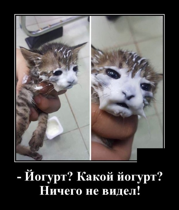 Демотиваторы