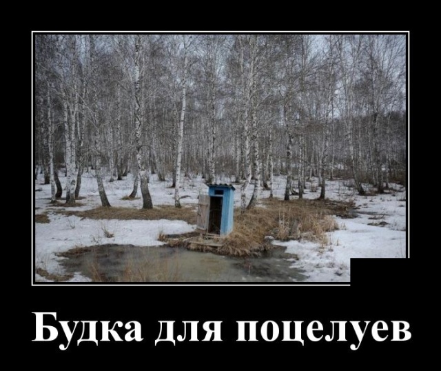Демотиваторы