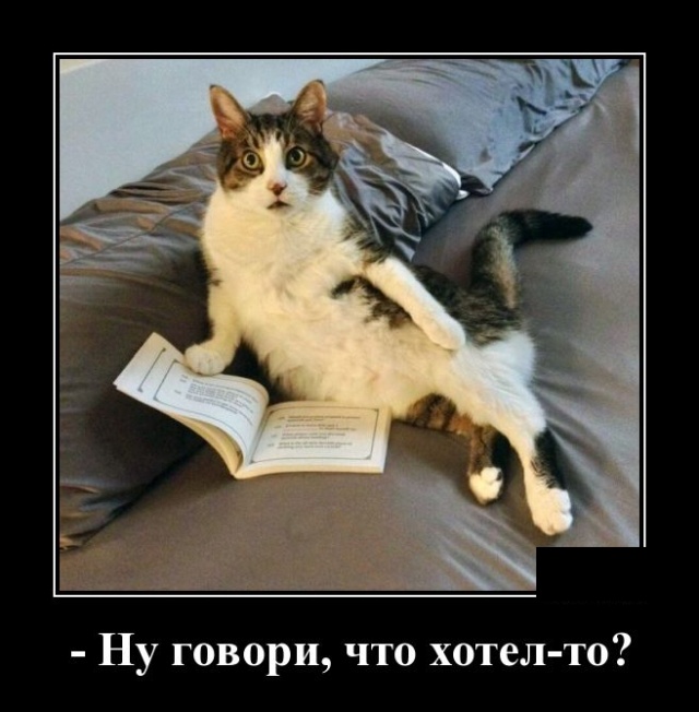 Демотиваторы