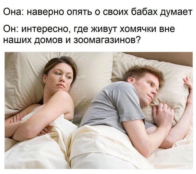 Легкий юмор с просторов сети