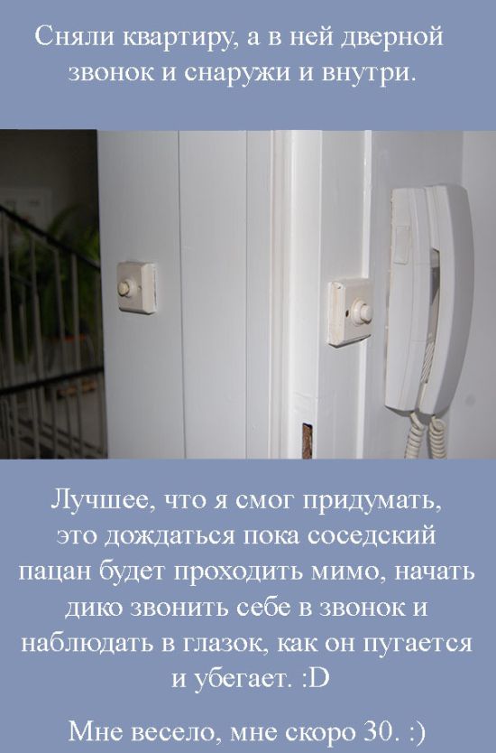 Порция картинок
