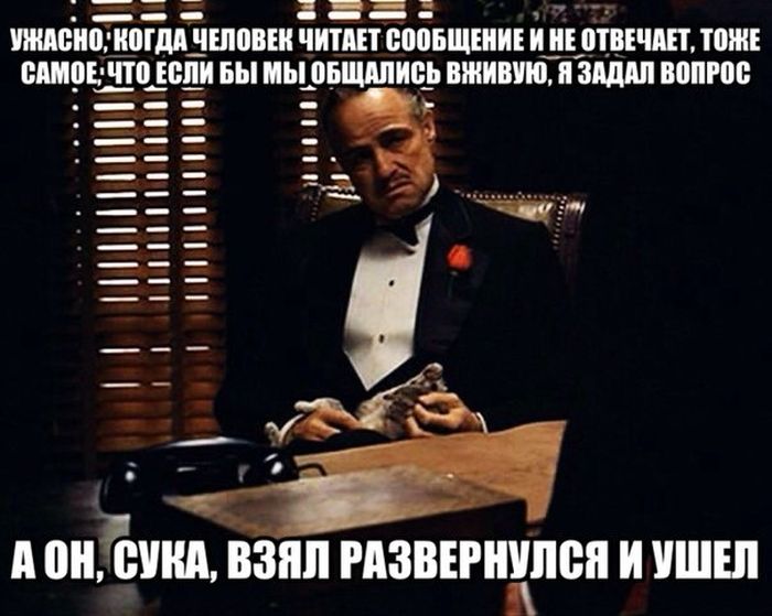 Порция картинок