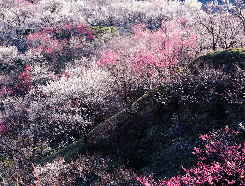 Конкурс фотографий National Geographic Traveler 2014