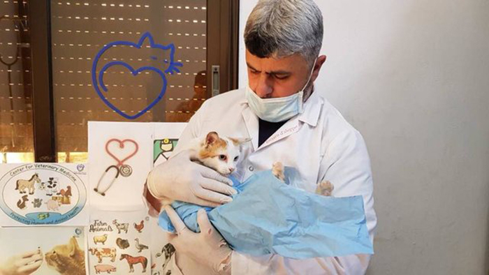 Мужчина остался в разрушенном войной Алеппо, чтобы заботиться о брошенных животных Мужчина остался в разрушенном войной Алеппо, чтобы заботиться о брошенных животных