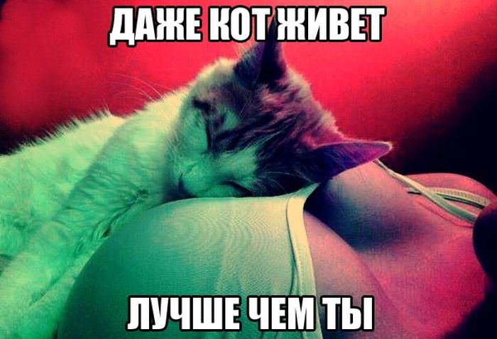 Порция картинок