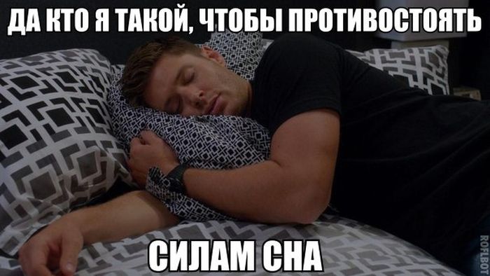 Порция картинок