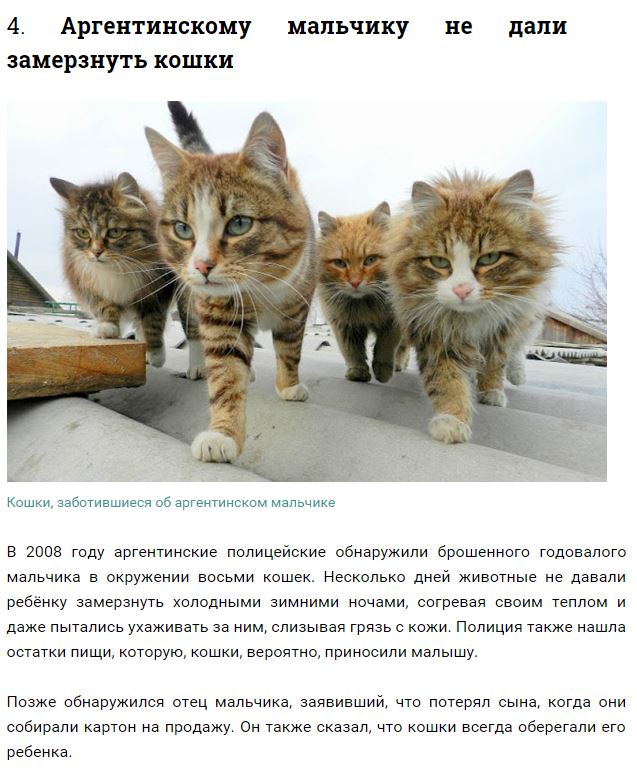 Дети, которых воспитывали животные